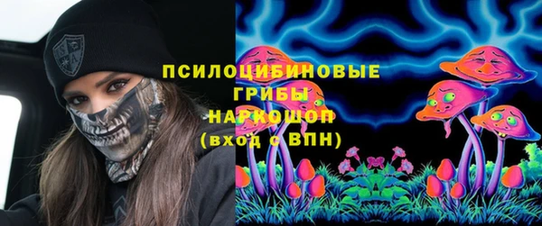 мескалин Заводоуковск