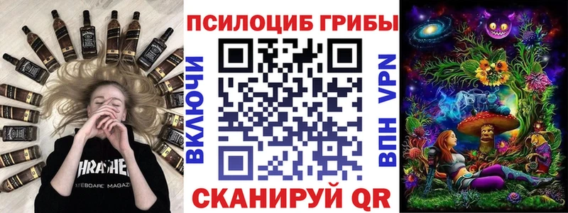 Купить  Очёр  Галлюциногенные грибы Psilocybine cubensis 